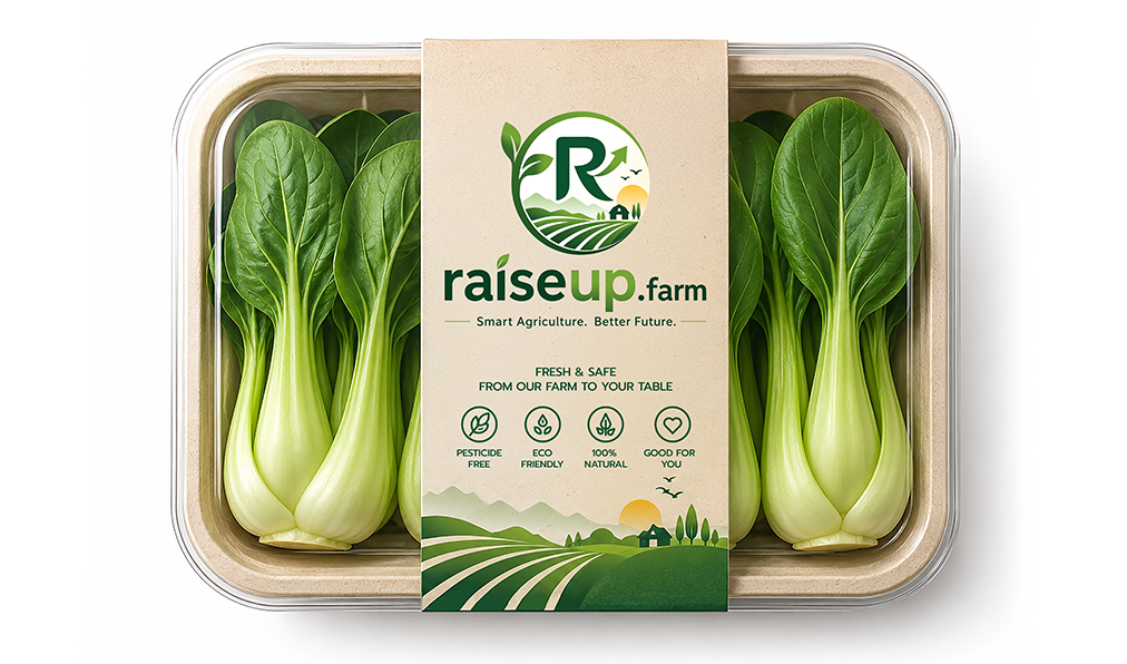 Bok Choy
