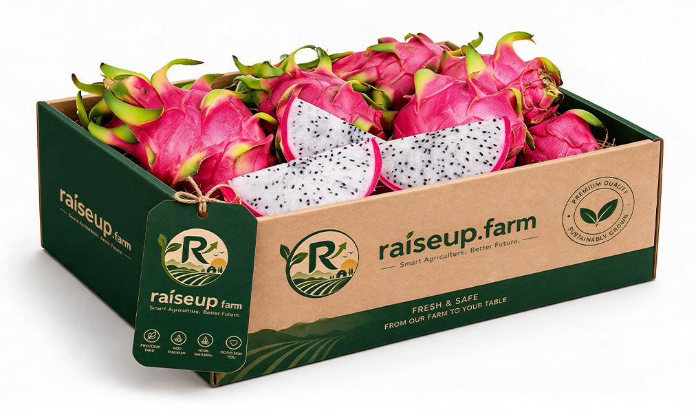 Dragon Fruit