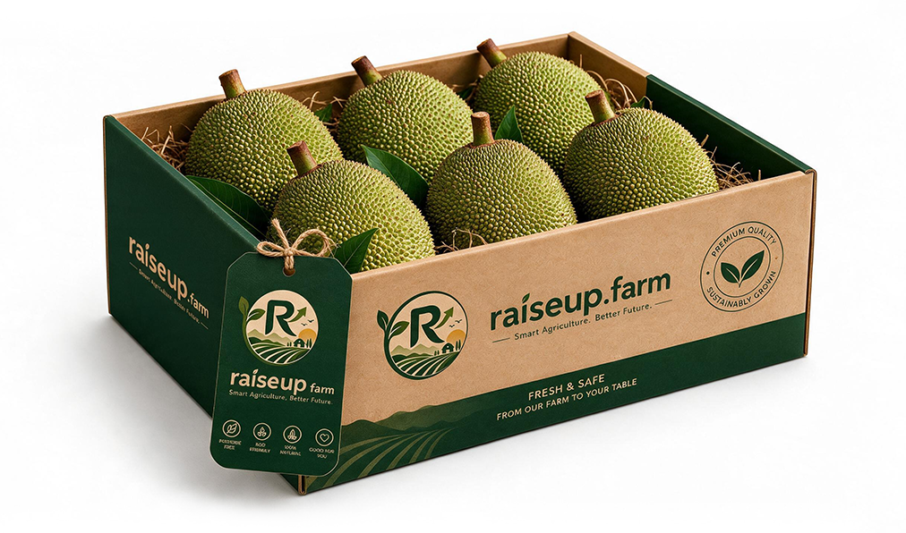 Jackfruit