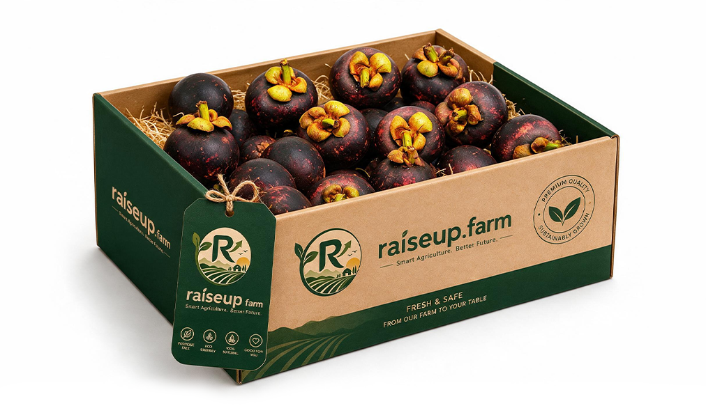 Mangosteen