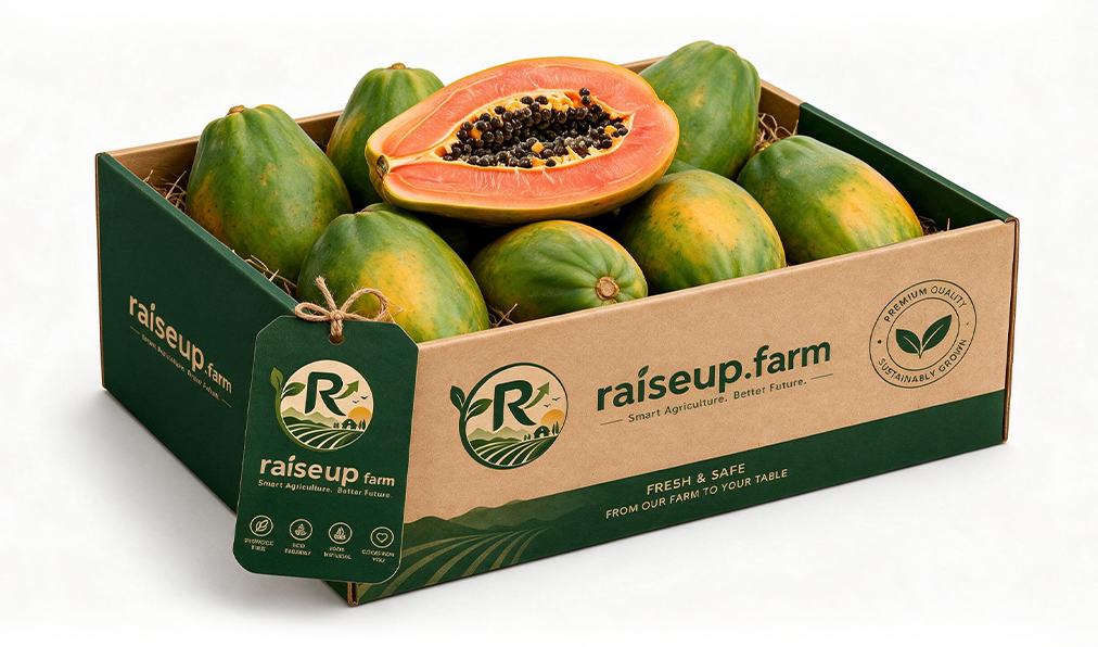 Papaya