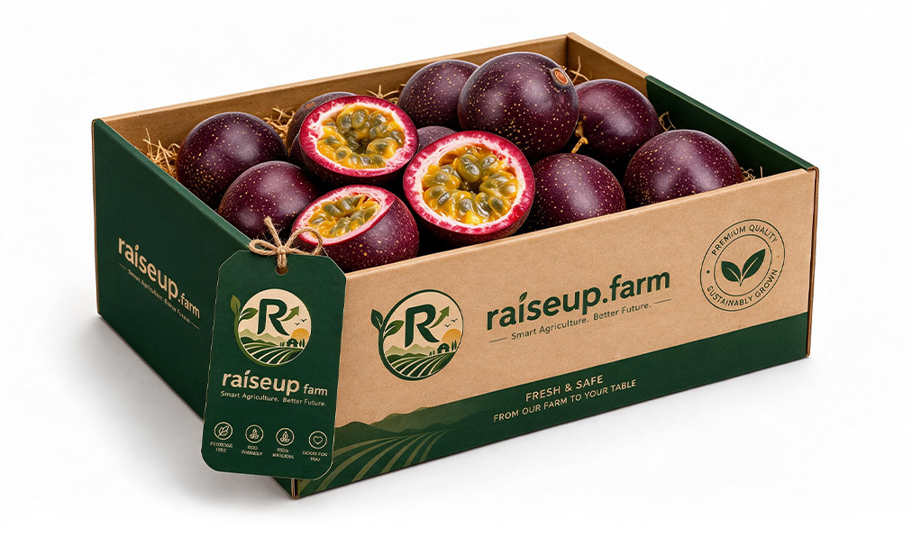 Passion Fruit